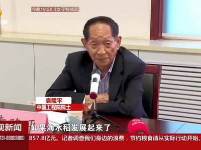 袁隆平挑战新难题 除了超级稻还要研究海水稻