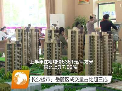 长沙楼市：岳麓区成交量占比超三成