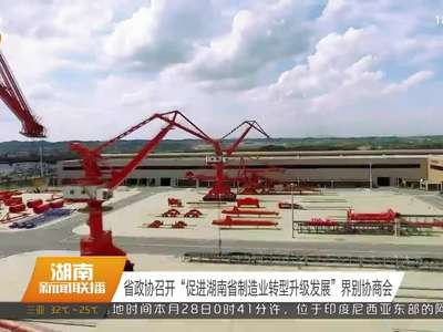 省政协召开“促进湖南省制造业转型升级发展”界别协商会