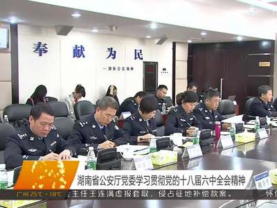 湖南省公安厅党委学习贯彻党的十八届六中全会精神
