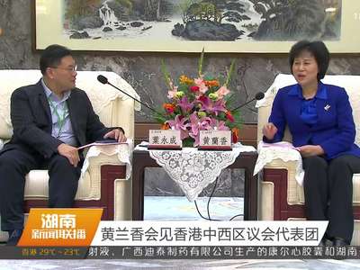 黄兰香会见香港中西区议会代表团