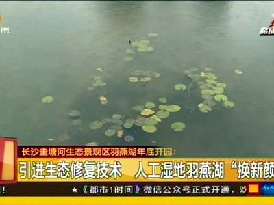 长沙圭塘河生态景观区羽燕湖年底开园