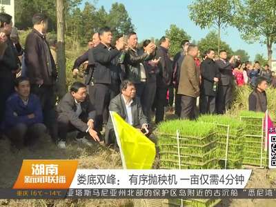 娄底双峰：有序抛秧机 一亩仅需4分钟