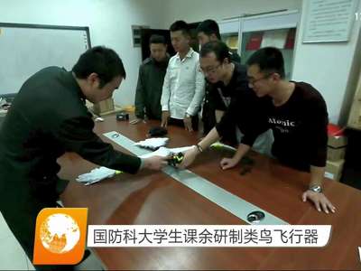 国防科大学生课余研制类鸟飞行器