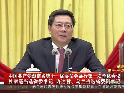 中国共产党湖南省第十一届委员会举行第一次全体会议 杜家毫当选省委书记 许达哲、乌兰当选省委副书记