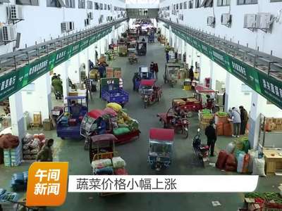 蔬菜价格小幅上涨