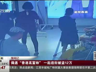 [视频]落网记：偶遇“香港高富帅” 一起逛街被盗12万