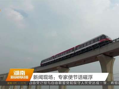 新闻现场：专家使节话磁浮