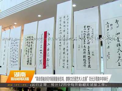 “革命领袖诗词书画展暨徐悲鸿 廖静文伉丽艺术人生展”在长沙周南中学举行