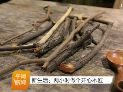 新生活：两小时做个开心木匠