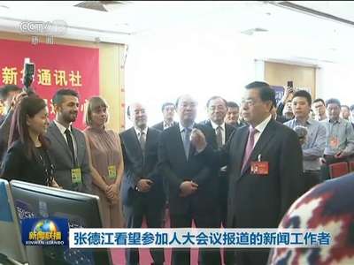 [视频]张德江看望参加人大会议报道的新闻工作者
