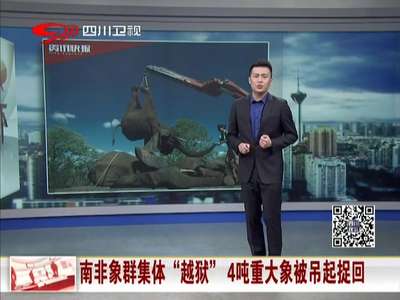 [视频]南非象群集体“越狱” 4吨重大象被吊起捉回