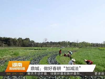 2017年04月03日湖南新闻联播