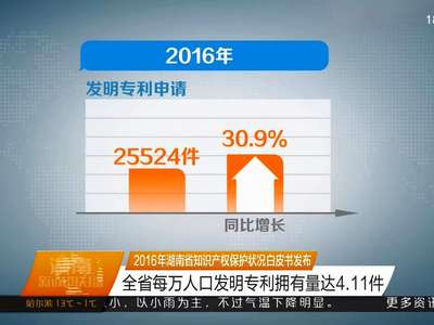 2016年湖南省知识产权保护状况白皮书发布