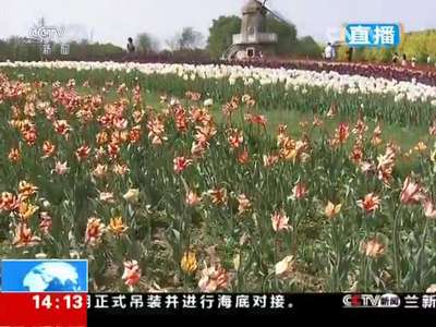 [视频]五一假期·出游 北京：郁金香盛花期 鲜花港游人如织