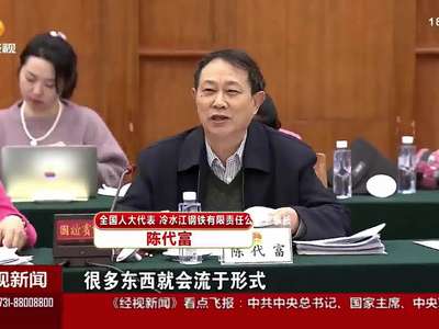 湖南代表团分组审查“十三五”规划纲要草案 徐守盛等参加