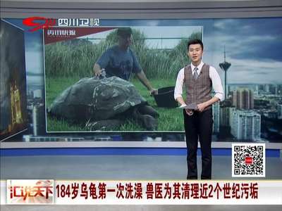 [视频]184岁乌龟第一次洗澡 兽医为其清理近2个世纪污垢