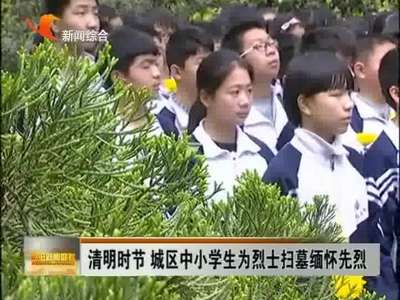 益阳：清明时节 城区中小学生为烈士扫墓缅怀先烈 