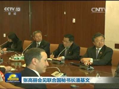 [视频]张高丽会见联合国秘书长潘基文