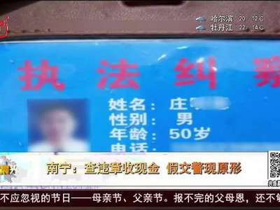 [视频]南宁：查违章收现金 假交警现原形