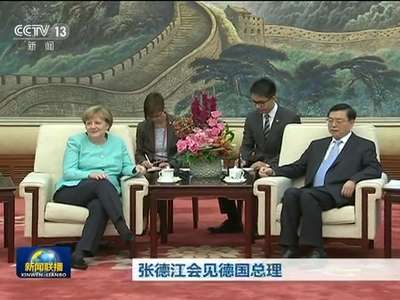 [视频]张德江会见德国总理