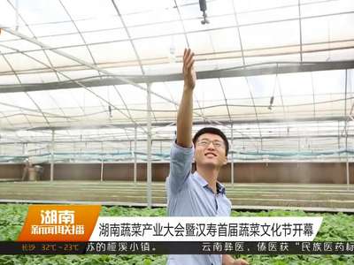 湖南蔬菜产业大会暨汉寿首届蔬菜文化节开幕