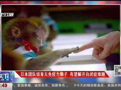 [视频]日本团队培育无免疫力猴子 有望解开自闭症难题