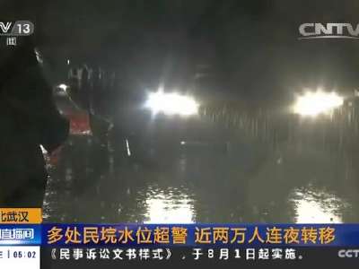 [视频]湖北武汉：多处民垸水位超警 近两万人连夜转移