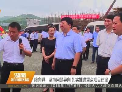 陈向群：坚持问题导向 扎实推进重点项目建设