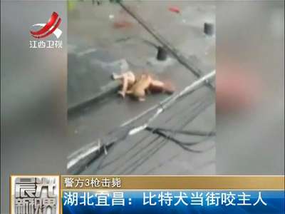 [视频]实拍比特犬当街撕咬主人 警方3枪击毙