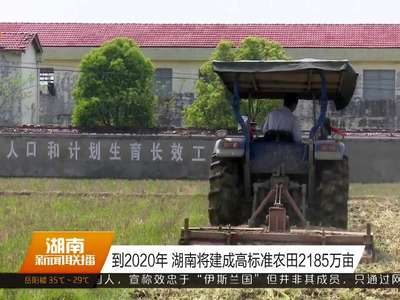 到2020年 湖南将建成高标准农田2185万亩