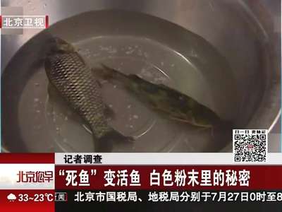 [视频]“死鱼”变活鱼 白色粉末里的秘密