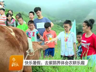 快乐暑假：去紫鹊界体会农耕乐趣