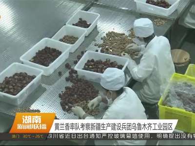 黄兰香率队考察新疆生产建设兵团乌鲁木齐工业园区