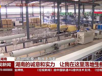 沪洽周前奏：我从上海来