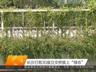 长沙已有30座立交桥披上“绿衣”