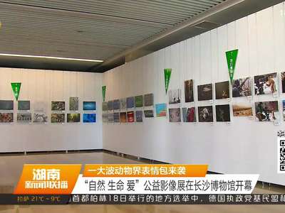 “自然 生命 爱”公益影像展在长沙博物馆开幕