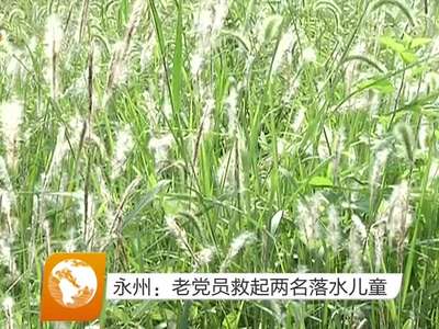 永州：老党员救起两名落水儿童