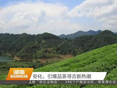 安化：引爆品茶寻古新热潮