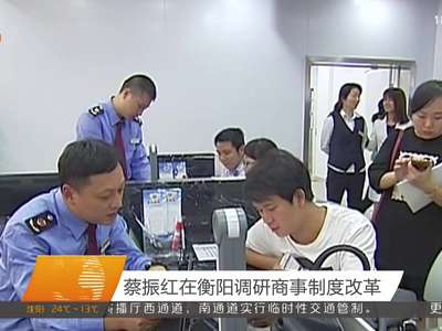 蔡振红在衡阳调研商事制度改革