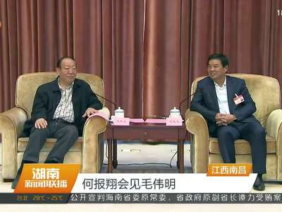 何报翔会见毛伟明