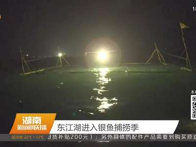 东江湖进入银鱼捕捞季