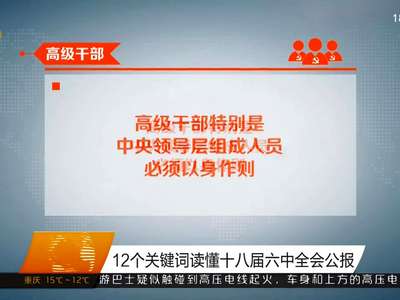 12个关键词读懂十八届六中全会公报