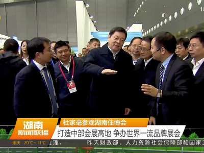 杜家毫参观住博会