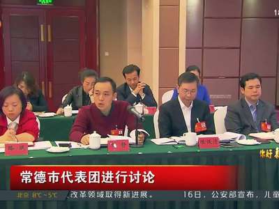 常德市代表团进行讨论