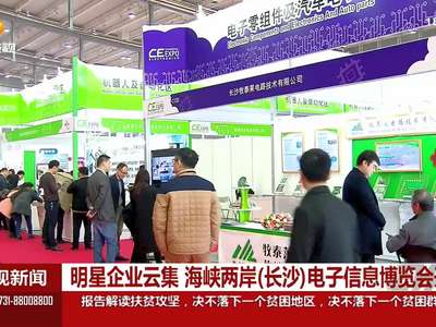 明星企业云集 海岸两岸(长沙)电子信息博览会开幕