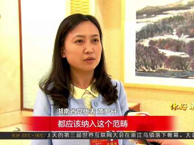 党代表热议：推进党风廉洁建设