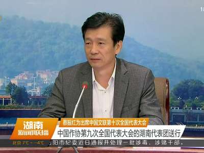 蔡振红为出席中国文联第十次全国代表大会、中国作协第九次全国代表大会的湖南代表团送行