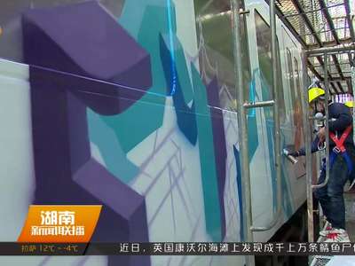 中外涂鸦大师为长沙磁浮“换衣裳”