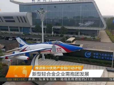 推进新兴优势产业链行动计划 新型轻合金企业需抱团发展